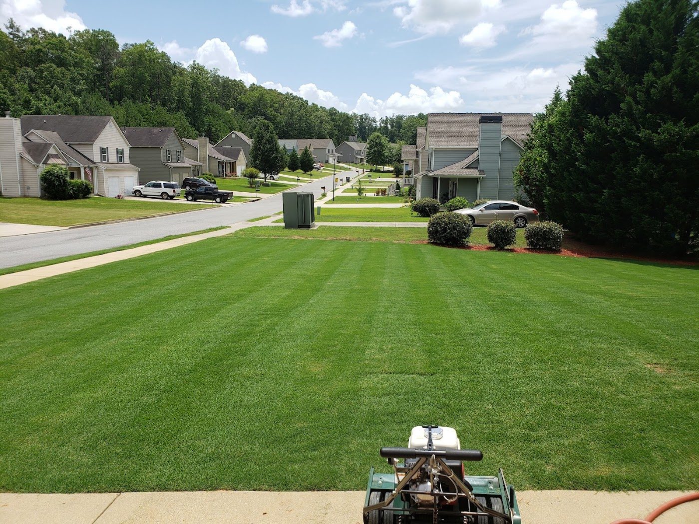 Fresh reel-cut lawn